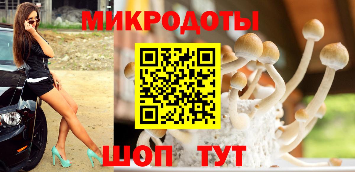 Галлюциногенные грибы ЛСД Кашира