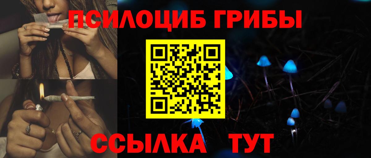 Кашира  купить наркотик  Вход с VPN  Галлюциногенные грибы Psilocybine cubensis 